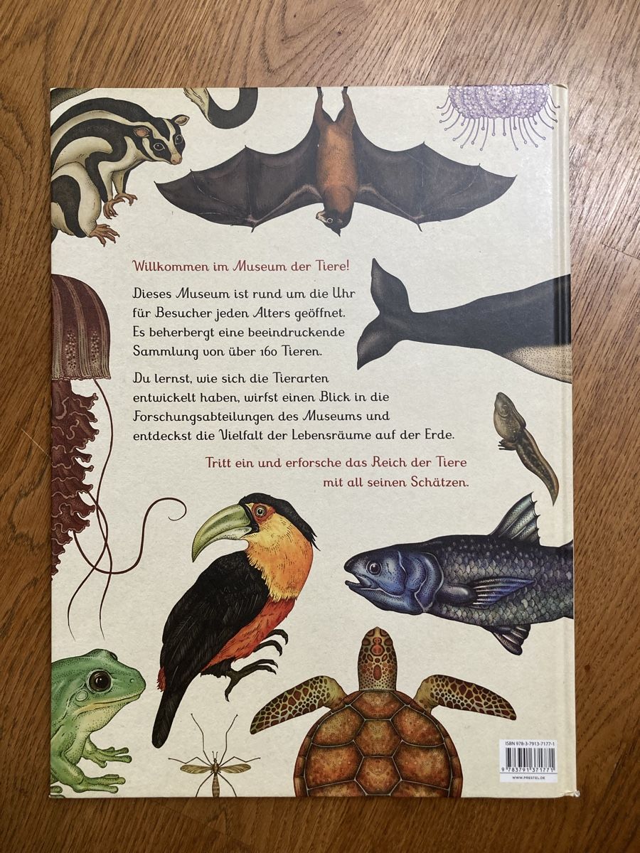 Libri: Buch "Das Museum der Tiere"  – Usato da Männedorf venduto da anialda 2