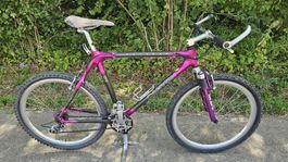 Rarität Vintage Mountainbike Canyon Extreme 8875
