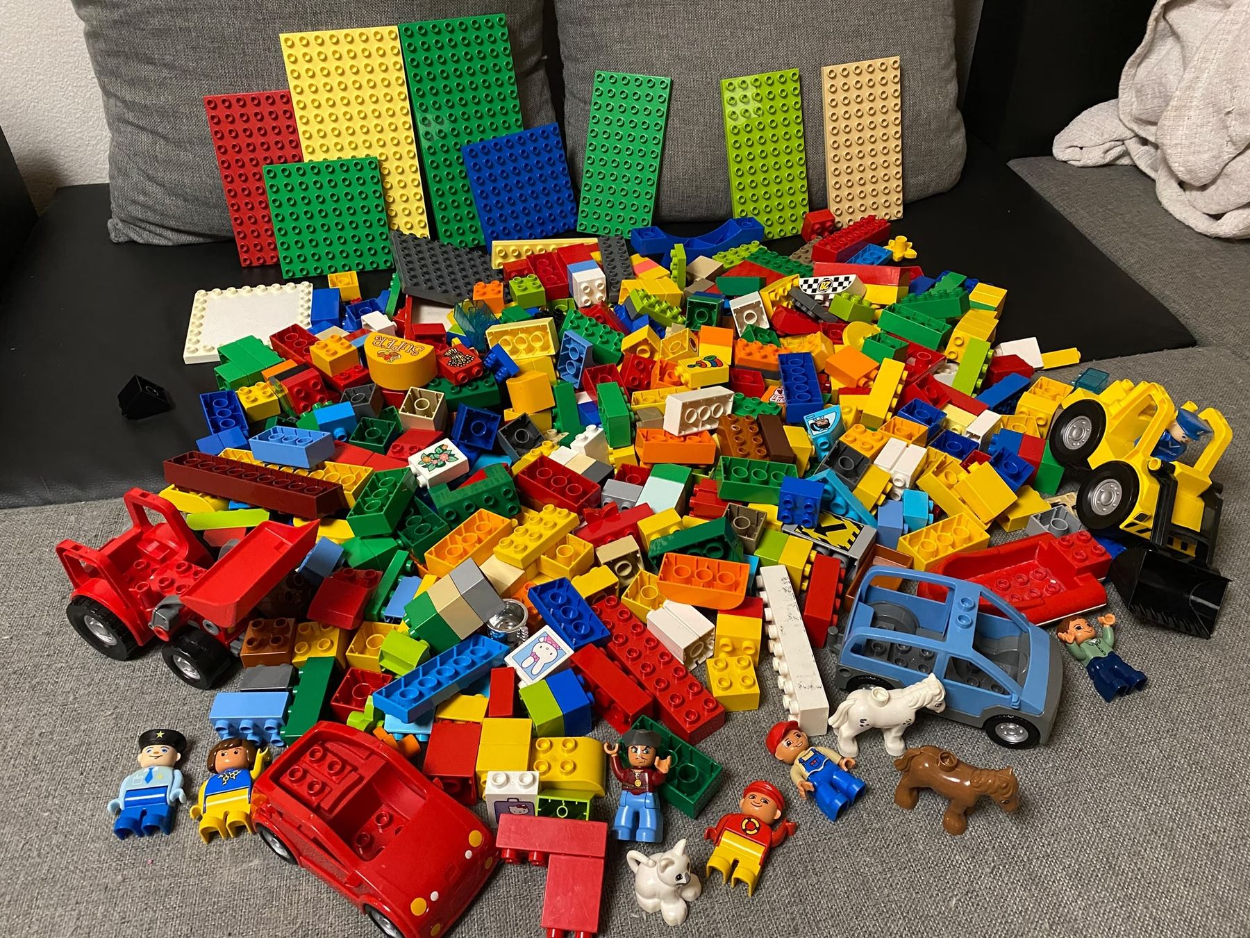 Lego Spielzeuge: Lego Duplo Steine und Platten – Gebraucht aus Winterthur von pat.paw 1