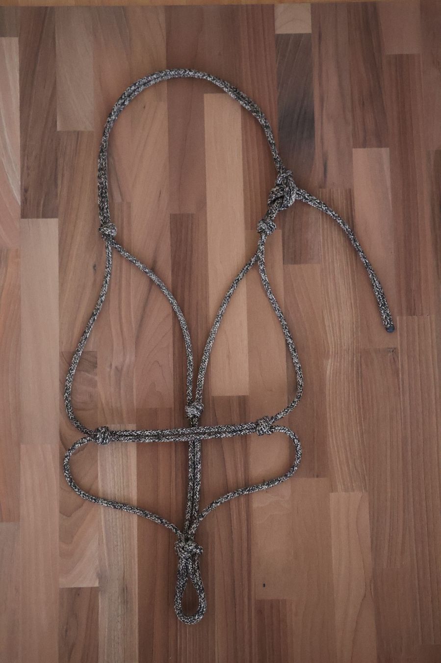 Briglie & Cavezze: Knotenhalfter Cob NEU – Nuovo (secondo la descrizione) da Meggen venduto da Orrinka20