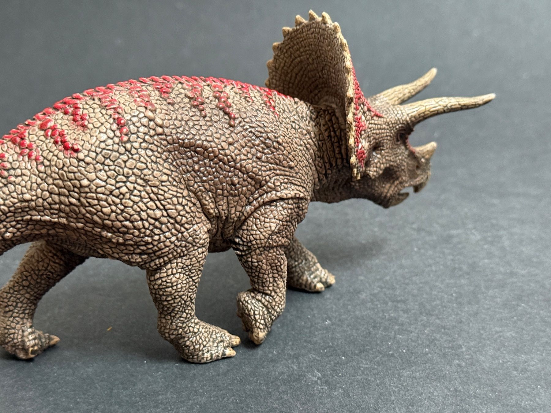 Schleich Statuette: Schleich Triceratops Dinosaurier Dino – Usato da Ennetbaden venduto da mapa05 6
