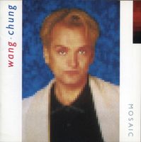 Wang Chung: Mosaic CD