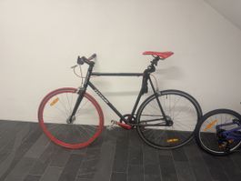Totem Singlespeed / Fixie – 28 Zoll – Schwarz/Rot