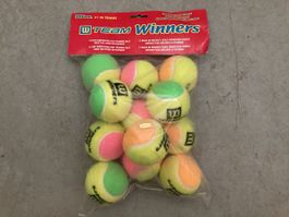 12 Wilson Tennisbälle Team Winners mit reduziertem Druck