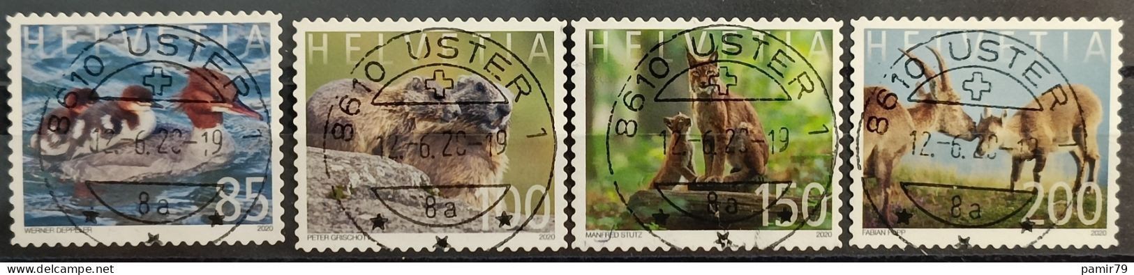 Tutti i francobolli: 2020 Tierfamilien Top Stempel – Usato da Dübendorf venduto da goeggi79