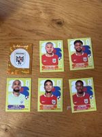 Panini 2026 5er Set PAN