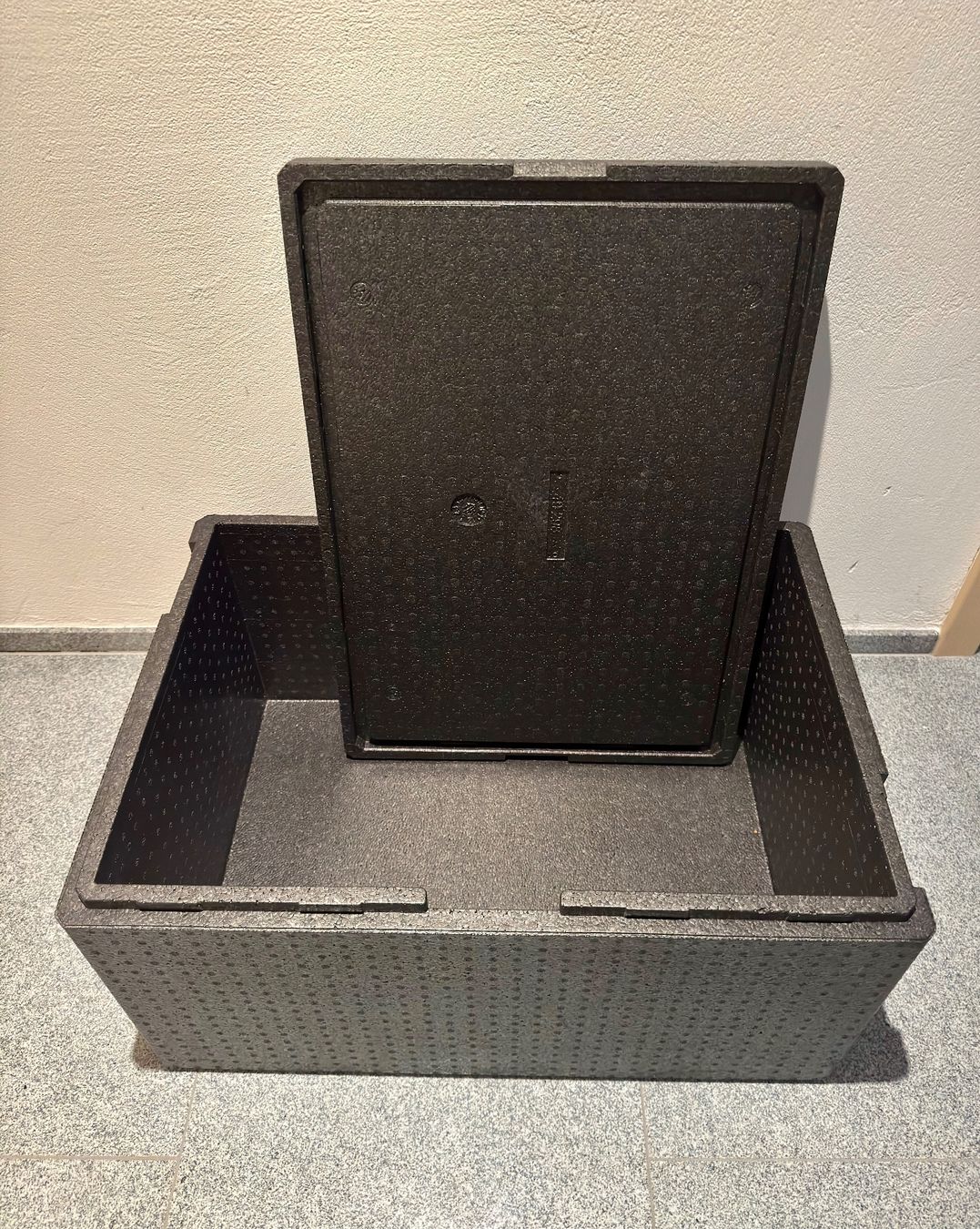 Frigoriferi & Refrigeratori: Thermobox mit Deckel – Usato da Siebnen venduto da Giulia0304 1