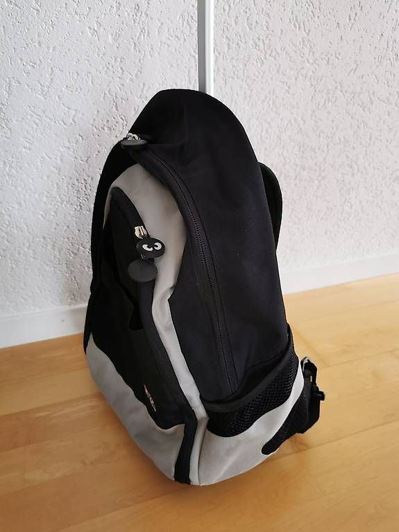 Rucksäcke: Trolley Rucksack – Gebraucht aus Lauerz von Power-Angel 3