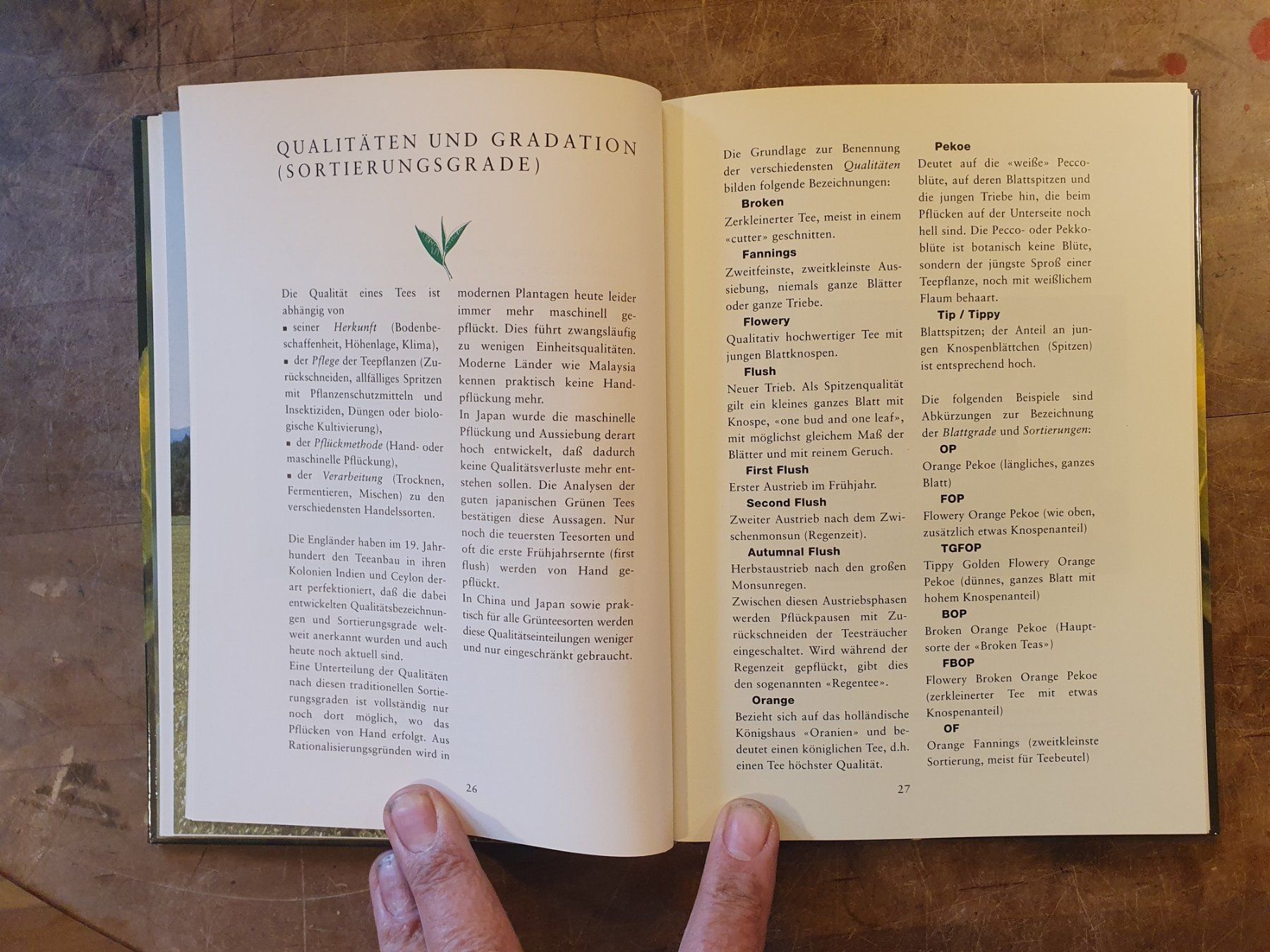 Libri: Der grüne Tee - Peter Oppliger - Midena – Usato da Zürich venduto da loosebone 9