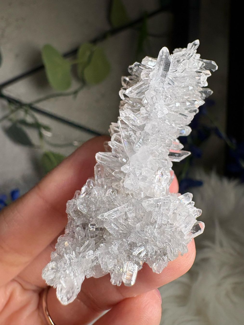 Mineralien & Heilsteine: Quarz-Cluster – Neu (gemäss Beschreibung) aus Neuheim von m.hald 5