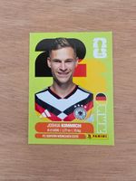 Panini Fifa GER 10