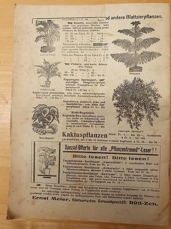 Riviste & Magazine: Zeitschrift Der Schweizer Pflanzen-Freund 1927 – Usato da Maschwanden venduto da ruth07 2