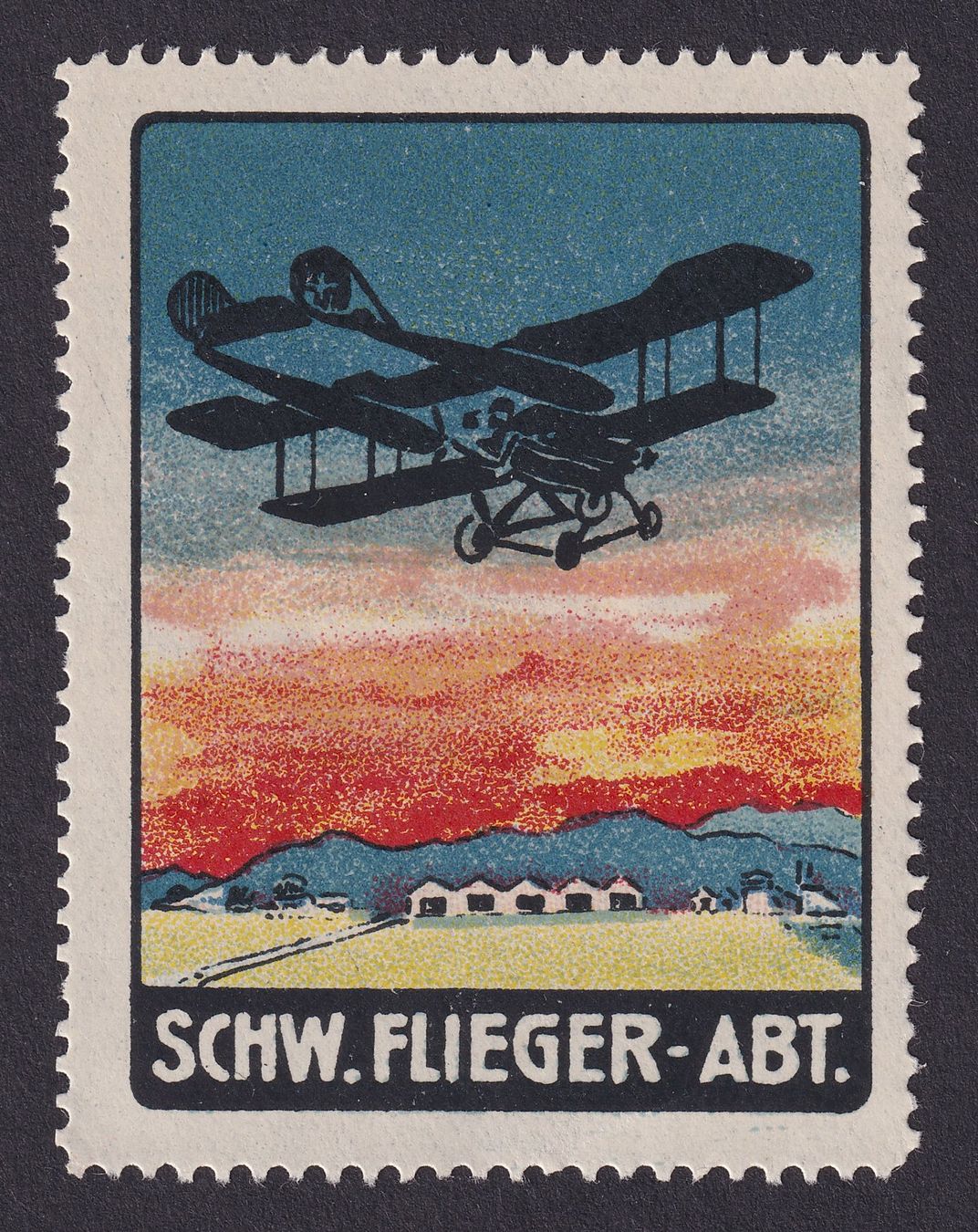 Tutti i francobolli: Flugspende Vignette 1917.1E Schw. Flieger-Abt. – Usato da Ebikon venduto da SilvioFreund