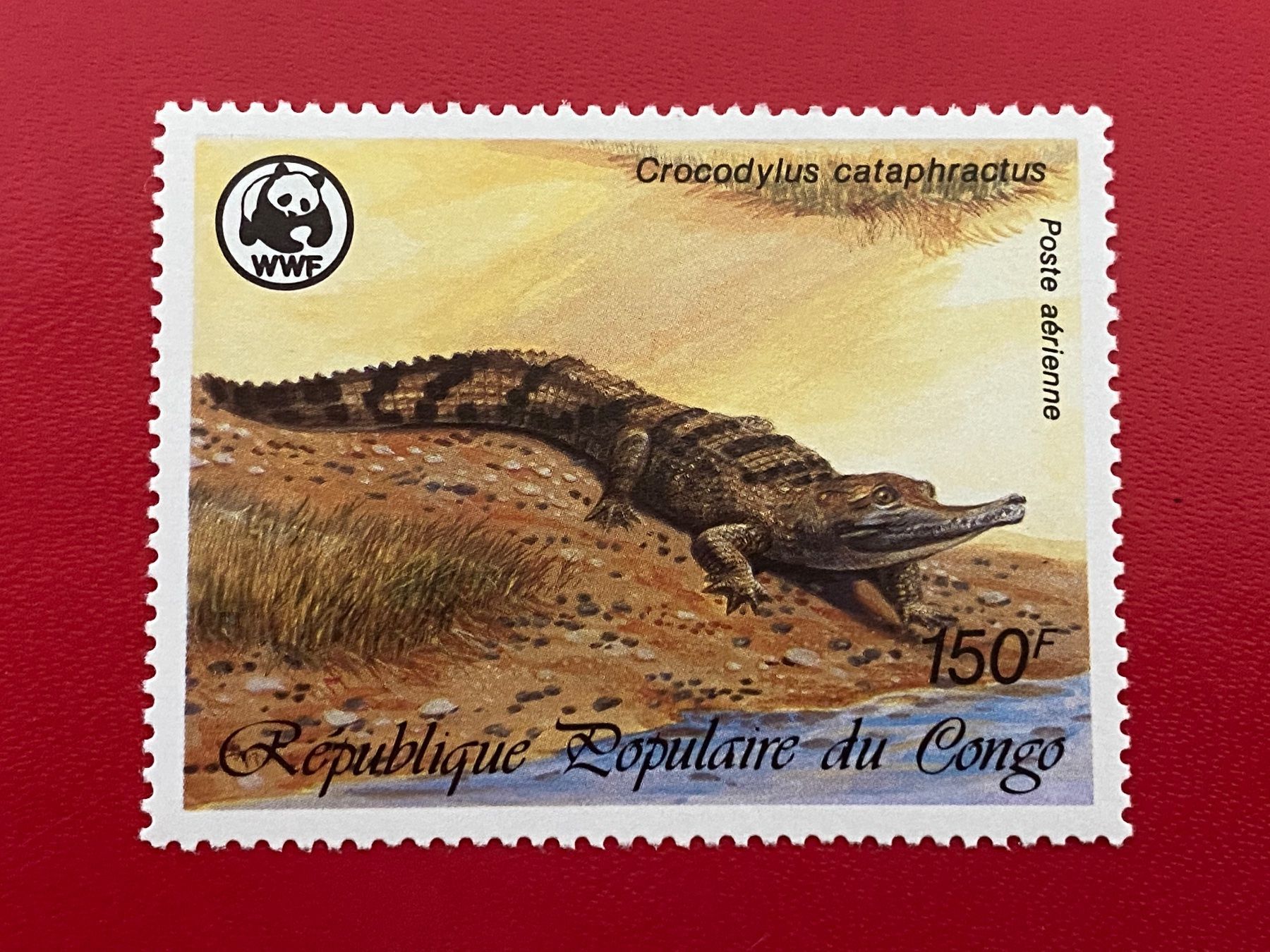 Alle Briefmarken: Timbres - Congo – Neu (gemäss Beschreibung) aus Petit-Lancy von Solcarm 3