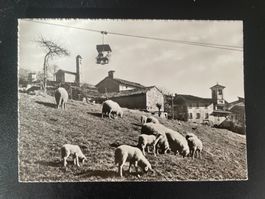 AK TI Miglieglia e Seggiovia, Monte Lema