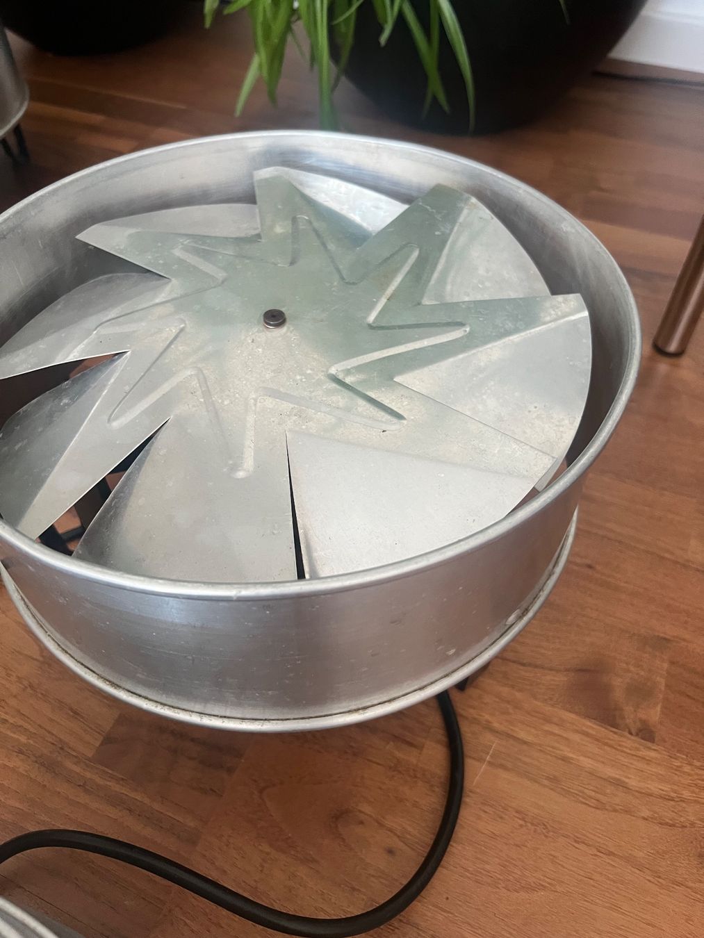 Küchengeräte: Sigg Dörrex Dörrautomat inkl. 4 Gittern – Gebraucht aus Jona von Sariksa 2