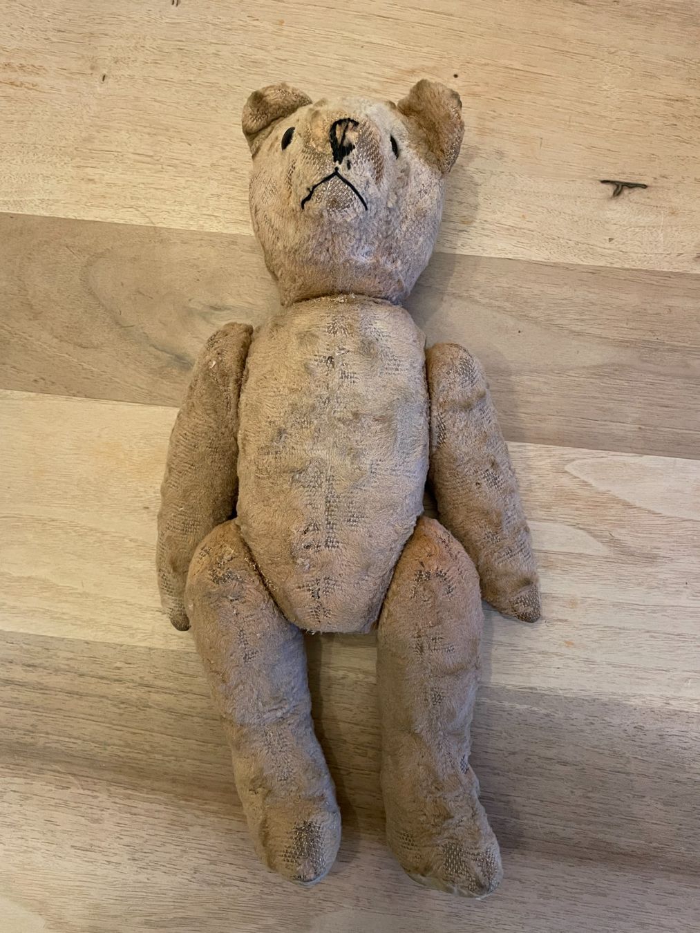 Bambole: Alter Teddybär – Usato da Basel venduto da visalia