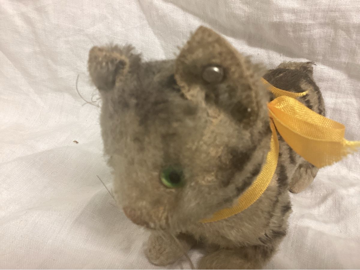 Steiff Giocattoli: ALTE STEIFF KATZE  – Usato da Münchenstein venduto da NoSu98 2