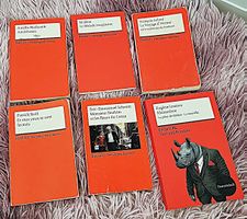 Kantibücher ☆  Gymnasium ☆  Französisch ☆  Konvolut