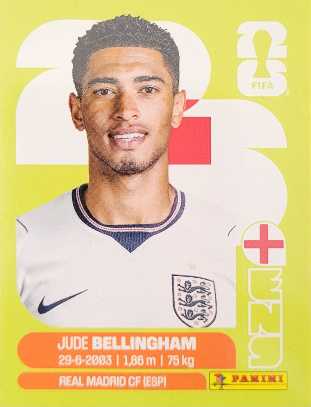 Panini Carte collezionabili: Panini FIFA World Cup ENG 11 – Nuovo (secondo la descrizione) da Wallisellen venduto da never_give_up