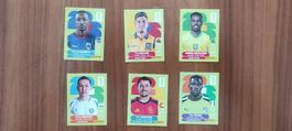 6 Panini Sticker 