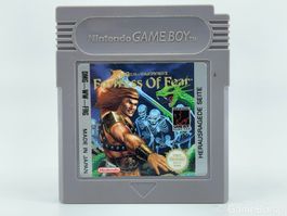GB Wizards & Warrior X Fortress of Fear