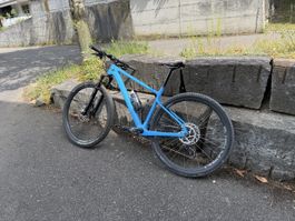 Edles Race Carbon Hardtail zu verkaufen mit AXS Ceramicspeed