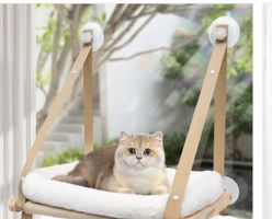 Hängematte Fenster Katze