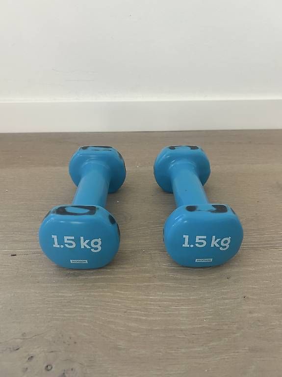 Decathlon Manubri & Pesi: 2 haltères 1,5kg – Usato da Pully venduto da gpo_82kp