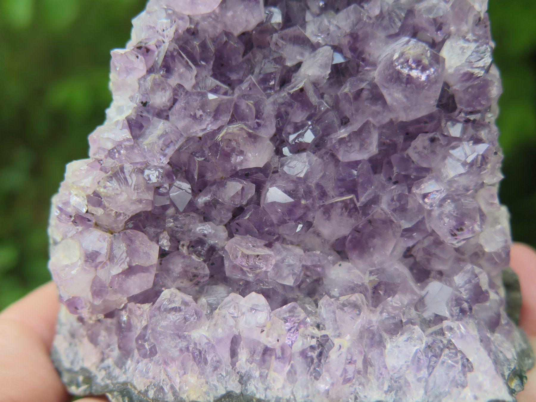 Minéraux & Lithothérapie: Amethyst von Brasilien ca. 426 gr. – D'occasion à Schaffhausen par Yamakana51L8736OQ8 6