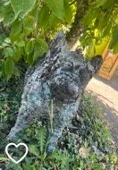 Sculptures & Statues: Metal dog sculpture – D'occasion à Zollikon par kmg1 2