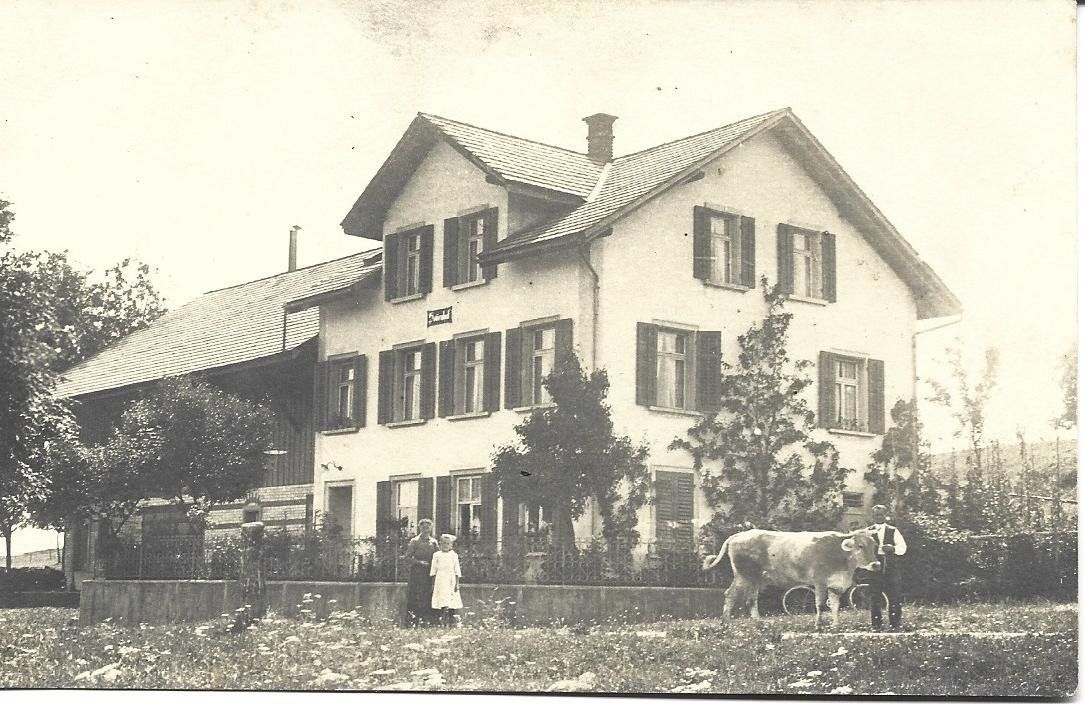 Cartoline postali: AK Bauernhaus  Landwirtschaft – Usato da Appenzell venduto da mai25