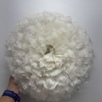 Federlampe Halbkugel weiss mit Zubehör