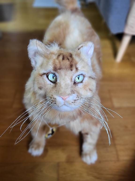 Statuette: Wunderschöne Plüsch Katze 50cm – Usato da Reigoldswil venduto da Paola_87 3