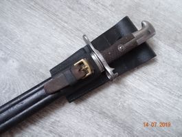 Frösche zu Faschinenmesser Vetterli