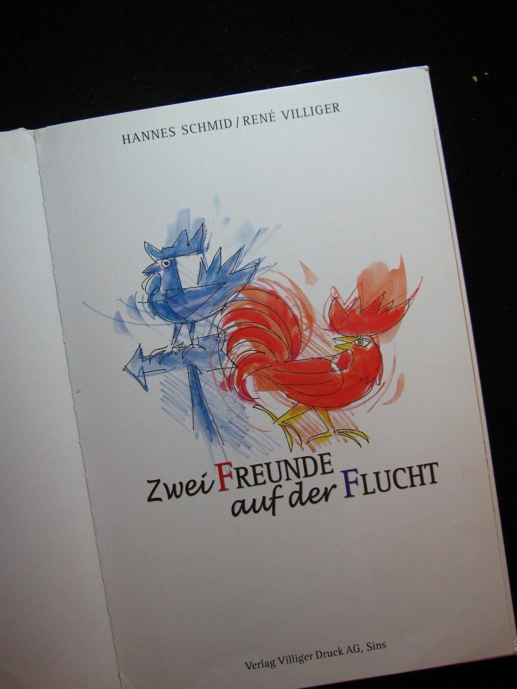 Bücher: Zwei Freunde auf der Flucht / RAR – Gebraucht aus Reitnau von Zaomir 2