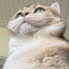 Profile image of sch_xl2b