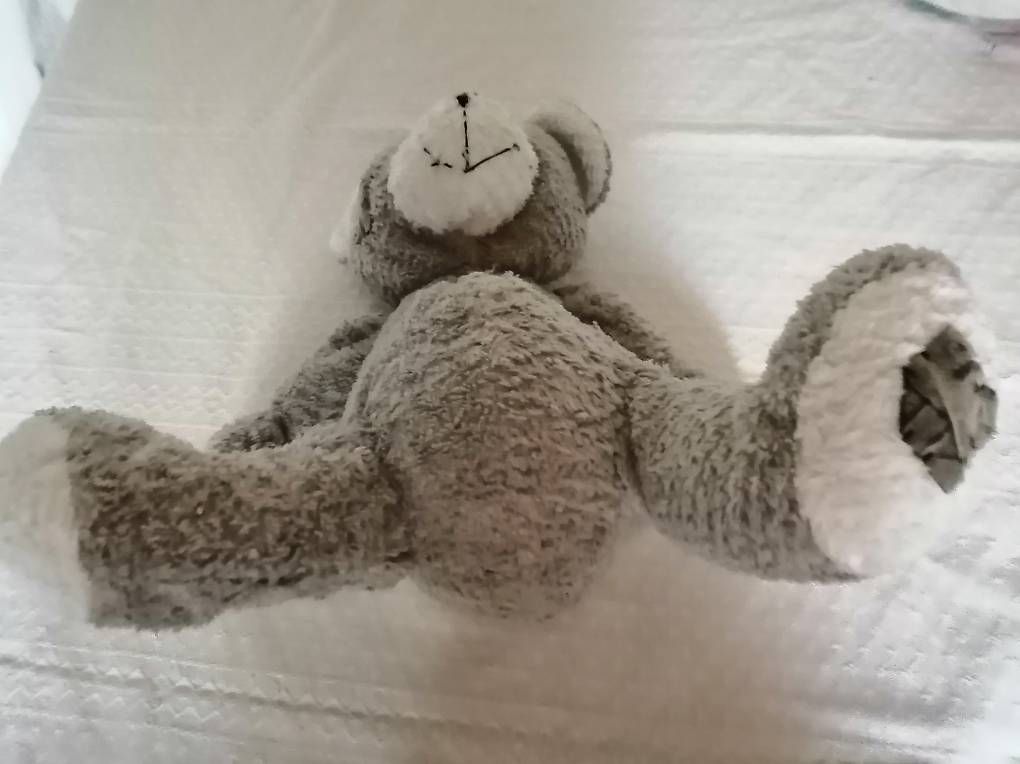 Jouets: Teddybär – D'occasion à Honau par holunder3 1