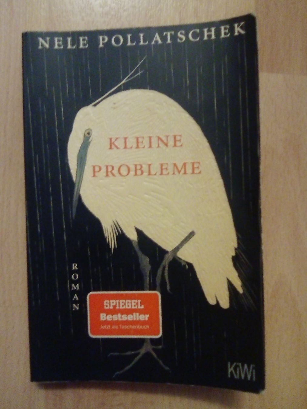 Libri: Kleine Probleme Nele Pollatschek – Usato da Winterthur venduto da Colonica