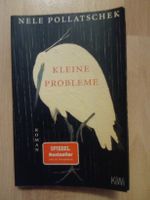 Kleine Probleme Nele Pollatschek