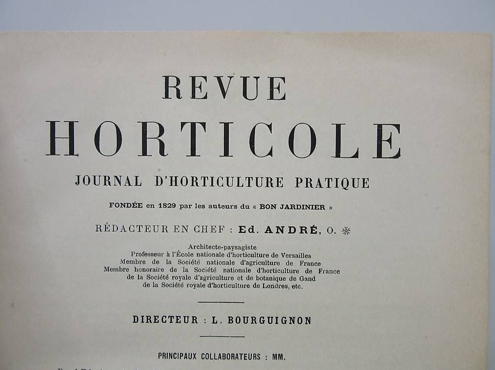 Libri: Revue horticole, 1904, 76ème année – Usato da Chernex venduto da Nouveaunom