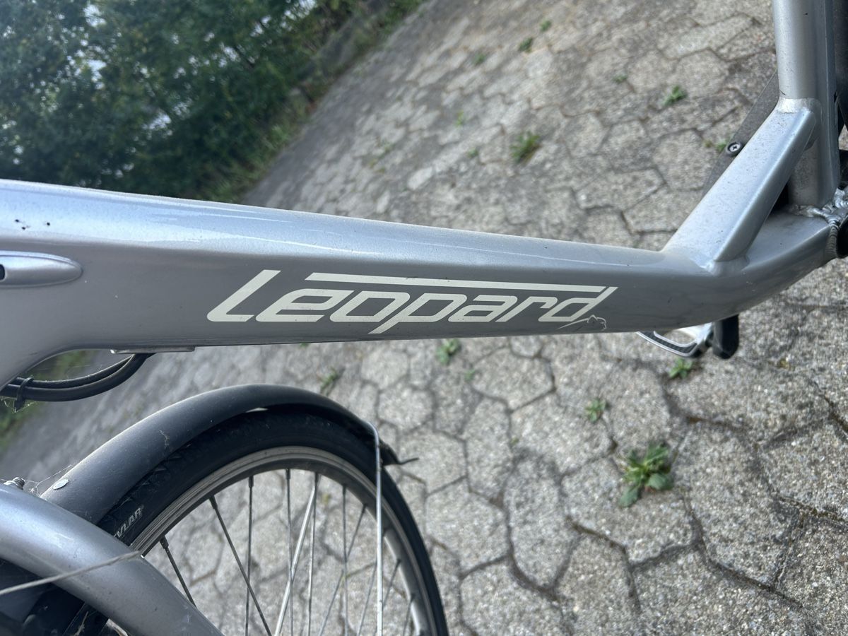 Biciclette: E Damen bike – Usato da Rickenbach LU venduto da Brutus05 1