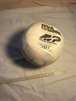 Ballon volley - Wilson seul au monde
