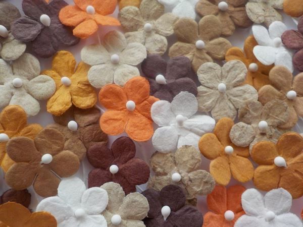 Tous les outils: Fleur en feutrine 17mm mixte BRUN 10pcs – Neuf avec emballage d'origine à St-Imier par goodber