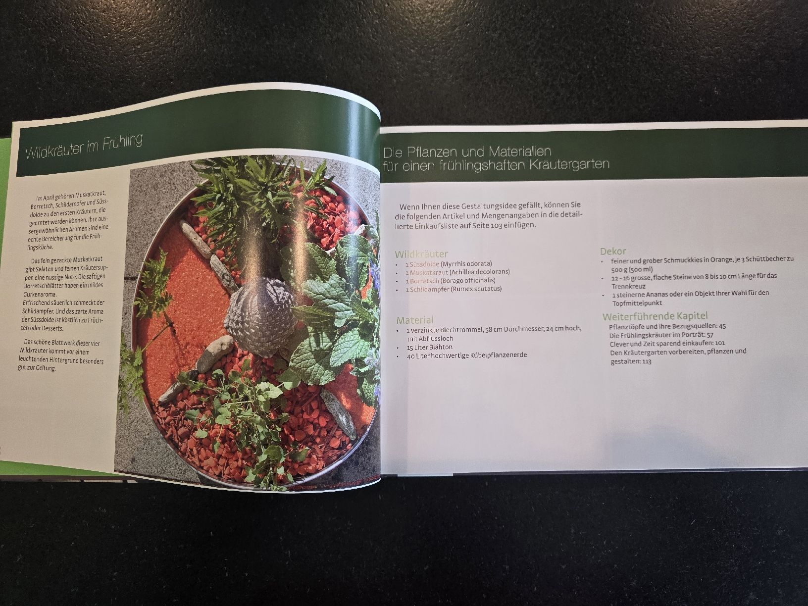 Libri: Kräutergarten Design (Herbarella alias Simone Quast) – Nuovo (secondo la descrizione) da St. Gallen venduto da charly92 5