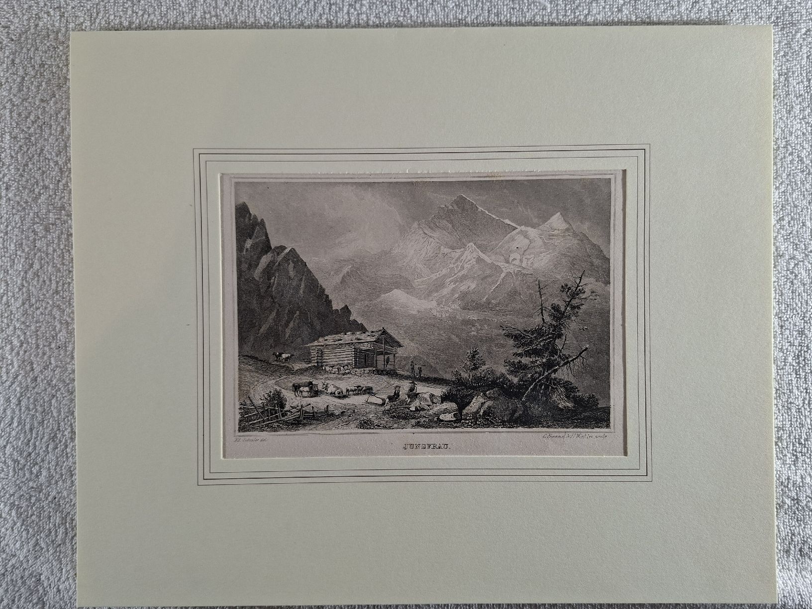 Incisioni: Lot 8, 5 Stiche  berner Oberland  – Usato da Grindelwald venduto da carro5 2