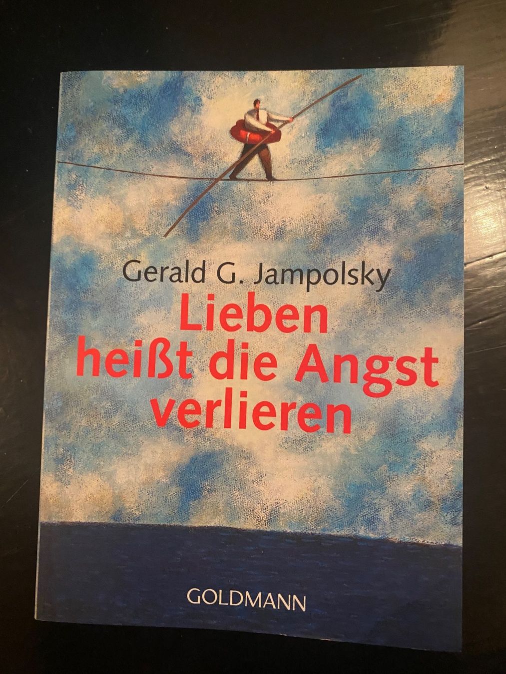 Libri: Lieben heisst die Angst verlieren – Usato da Lüchingen venduto da LIDB