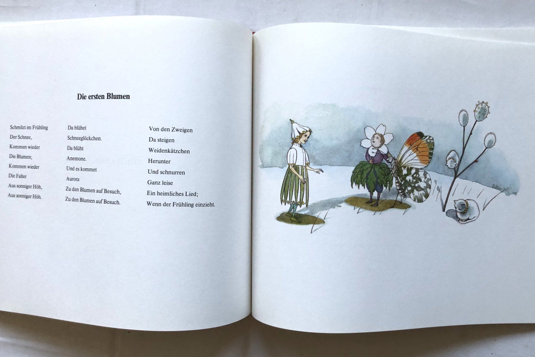 Bücher: Blumen-Märchen von Ernst Kreidolf - Silva Verlag – Gebraucht aus Schaffhausen von durruti 3