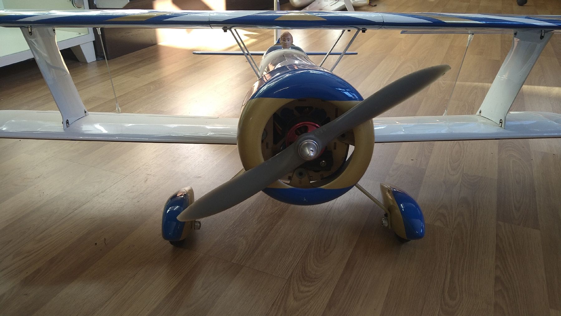 E-Flite Modellismo RC: E-Flite Rhapsody – Usato da Interlaken venduto da F.Loco 2