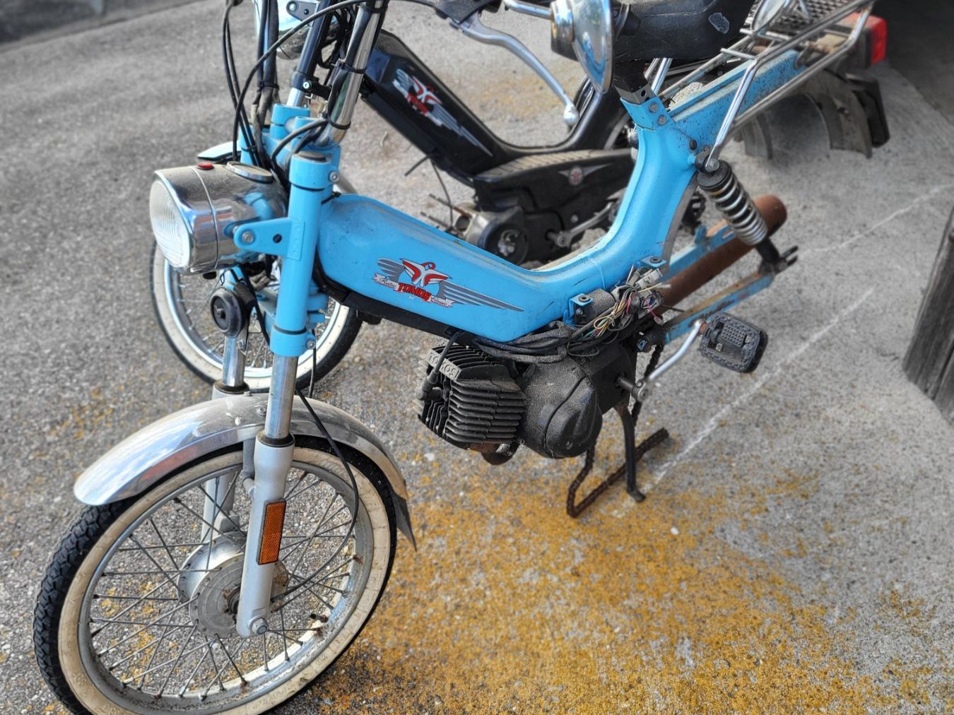 Tomos Ciclomotori: Töffli Tomos ev. Classic – Difettoso da Belpberg venduto da Ernstw123 2